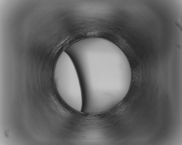 X0000102510648200808081008