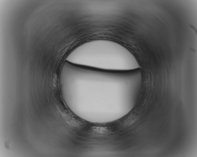 X0000102510649200808081008