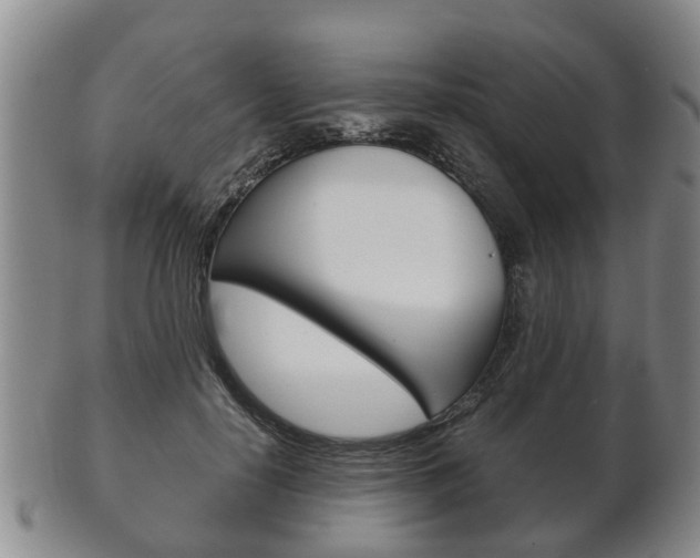 X0000102510650200808081008