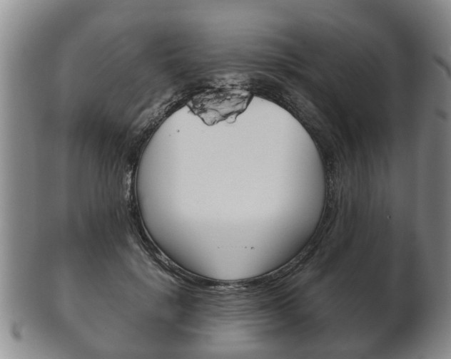 X0000102510652200808081008