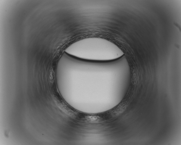 X0000102510654200808081008