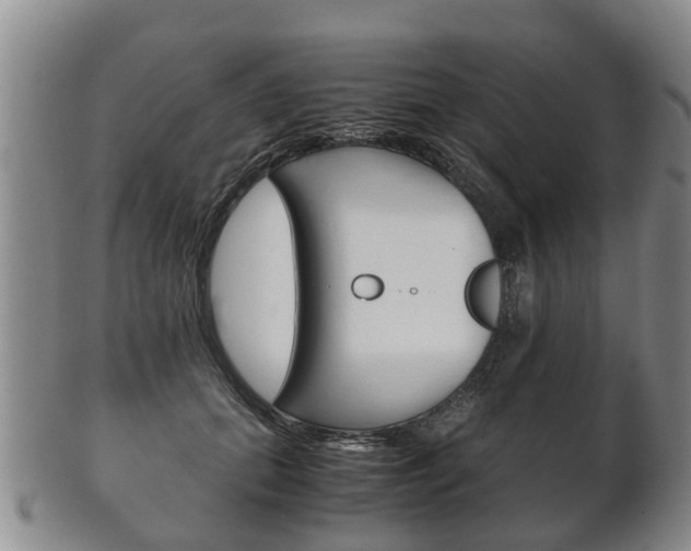 X0000102510655200808081008