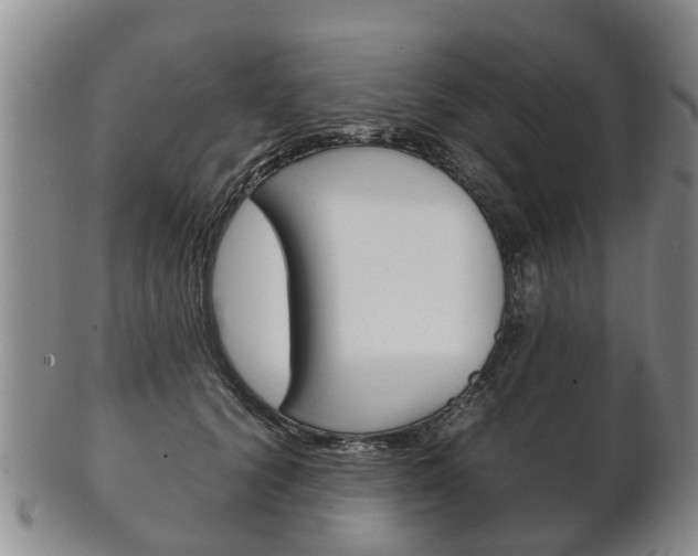 X0000102510656200808081008