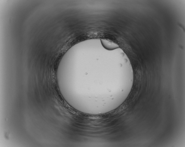 X0000102510659200808081008