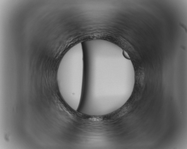 X0000102510660200808081008