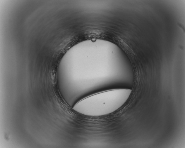 X0000102510661200808081008