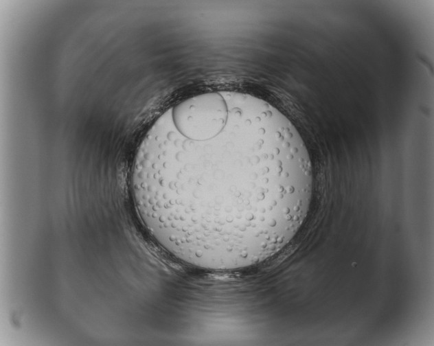 X0000102510662200808081008