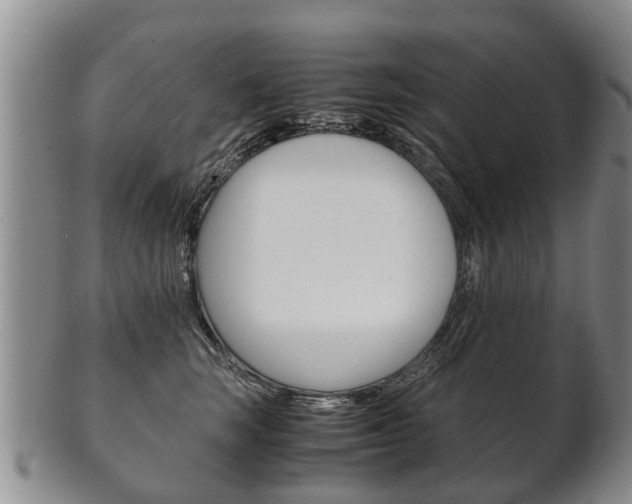 X0000102510663200808081008