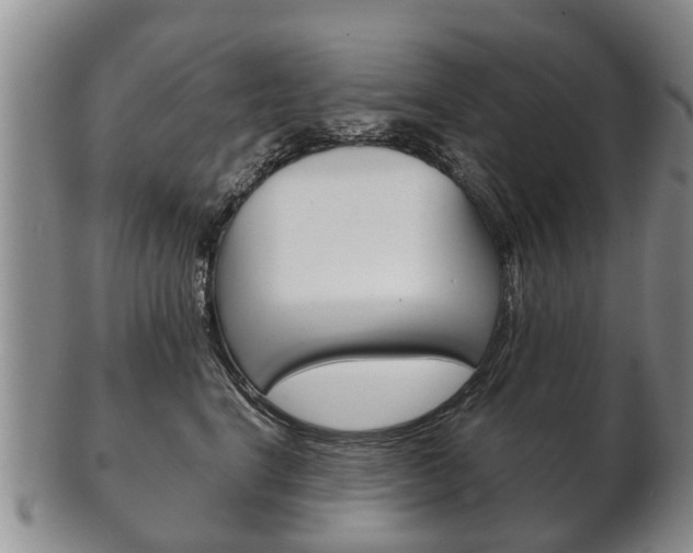 X0000102510664200808081008