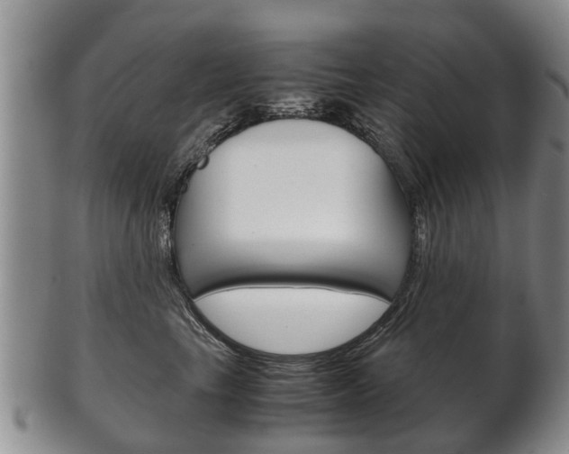X0000102510665200808081008