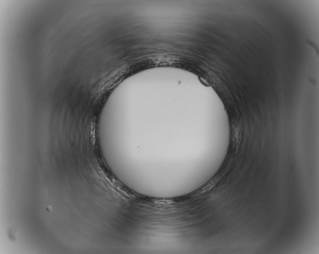 X0000102510666200808081008