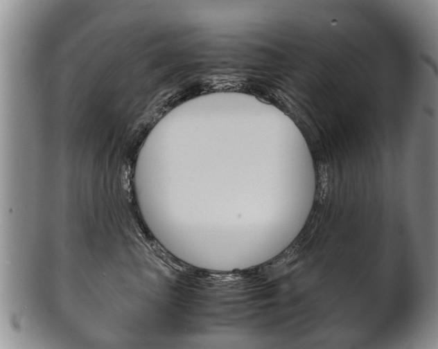 X0000102510667200808081008