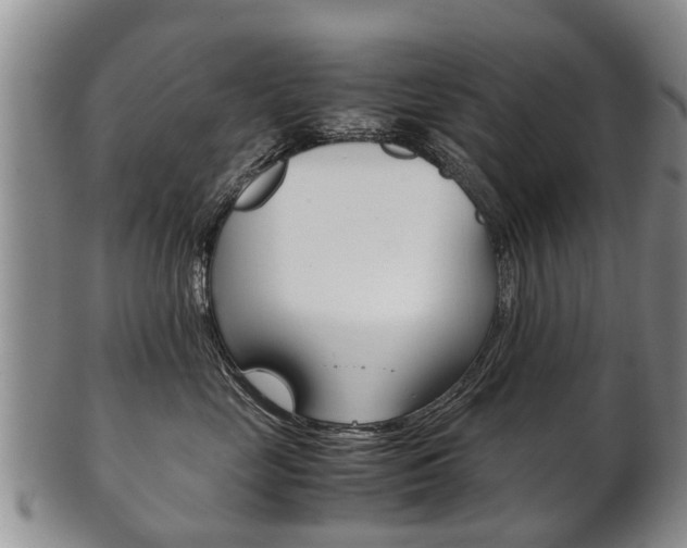 X0000102510669200808081008