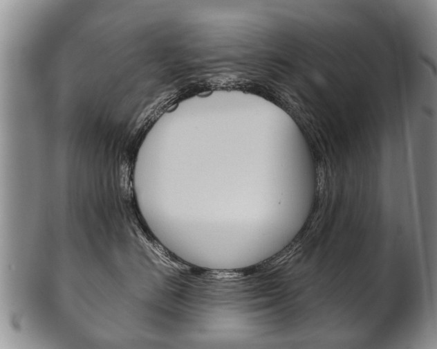 X0000102510670200808081008