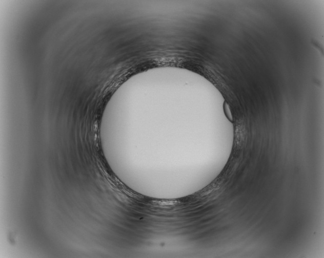 X0000102510671200808081008