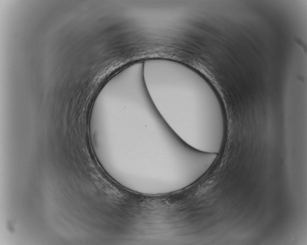 X0000102510673200808081007