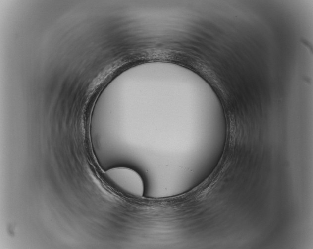 X0000102510674200808081007