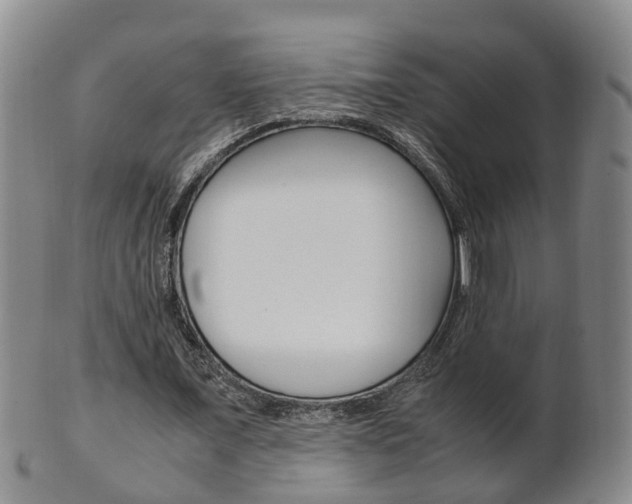 X0000102510675200808081007