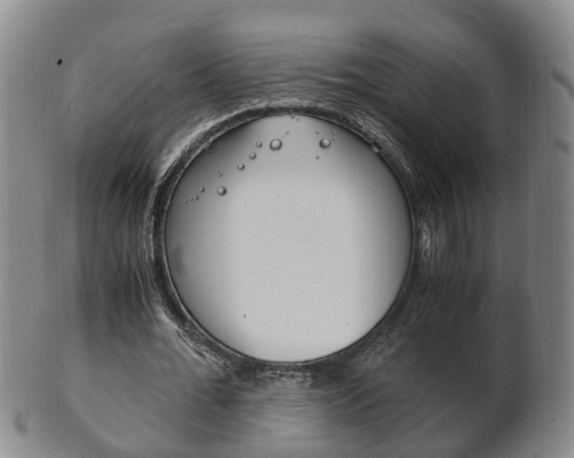 X0000102510676200808081007