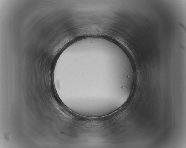 X0000102510677200808081007