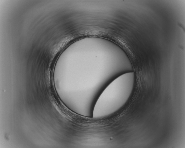 X0000102510678200808081007