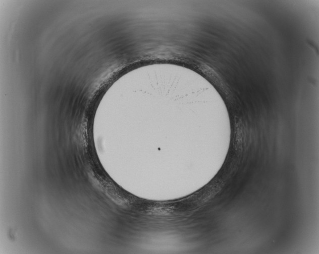 X0000102510680200808081007