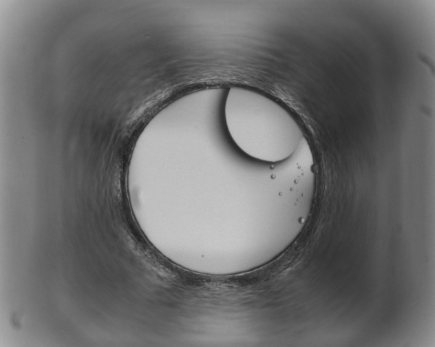 X0000102510681200808081007