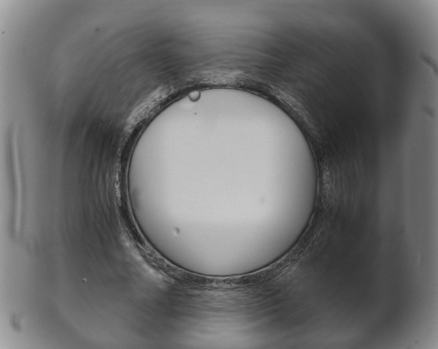 X0000102510682200808081007
