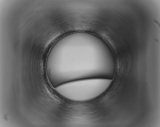 X0000102510684200808081007