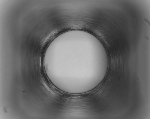 X0000102510686200808081007