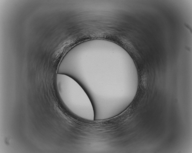 X0000102510687200808081007