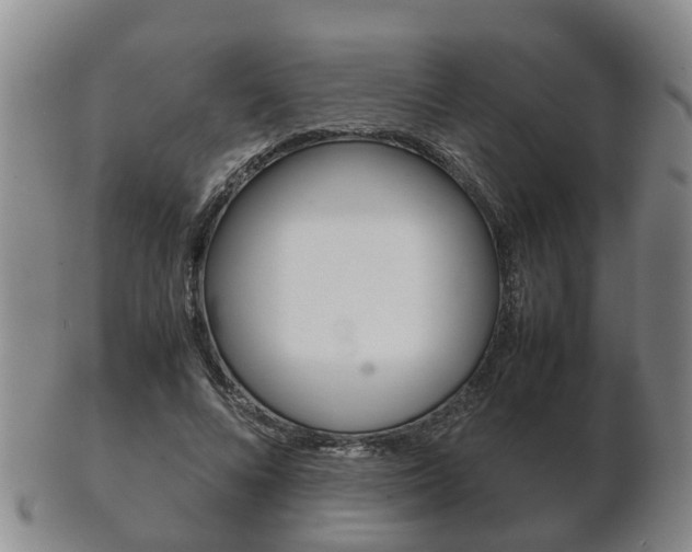 X0000102510688200808081007