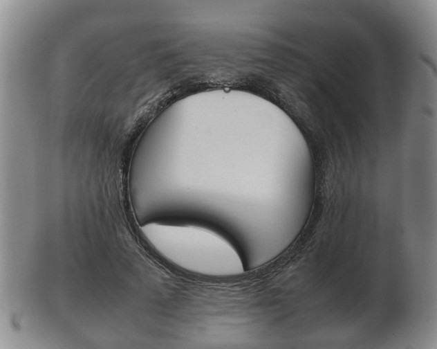 X0000102510689200808081007