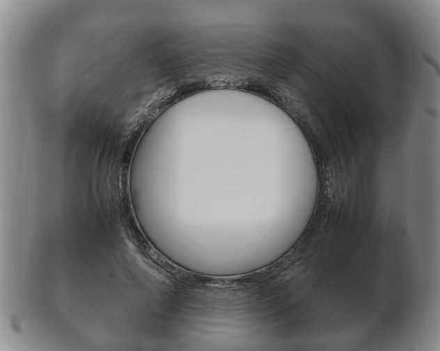 X0000102510690200808081007