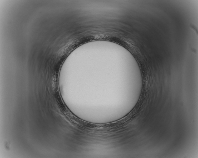 X0000102510691200808081007