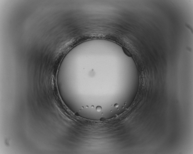 X0000102510692200808081007