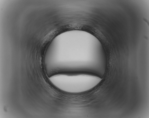 X0000102510693200808081007