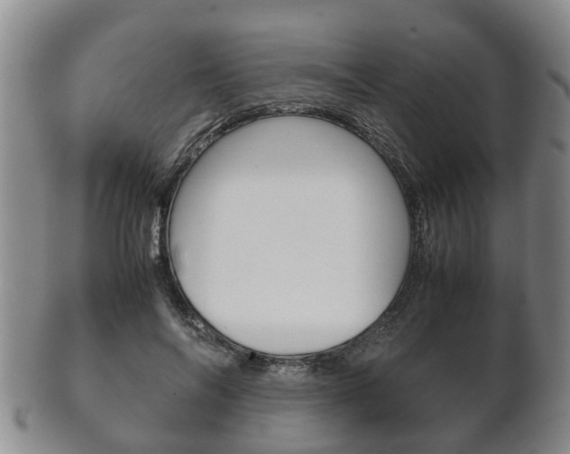X0000102510694200808081007