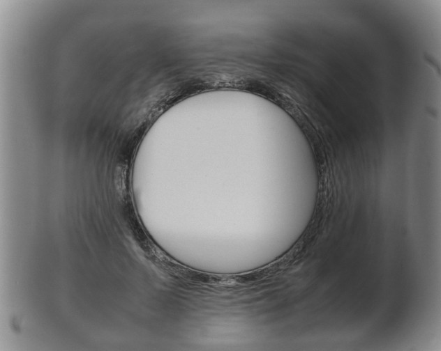 X0000102510695200808081007