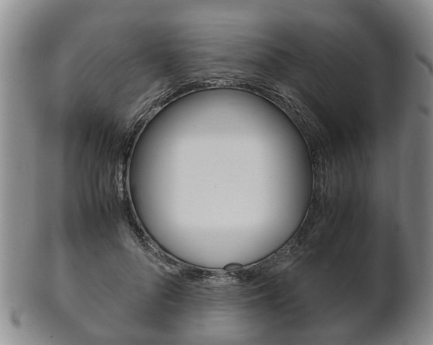 X0000102510696200808081007