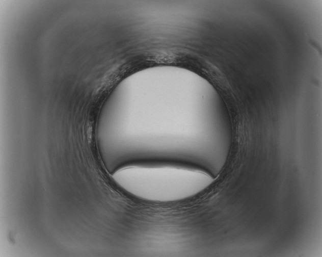 X0000102510697200808081007