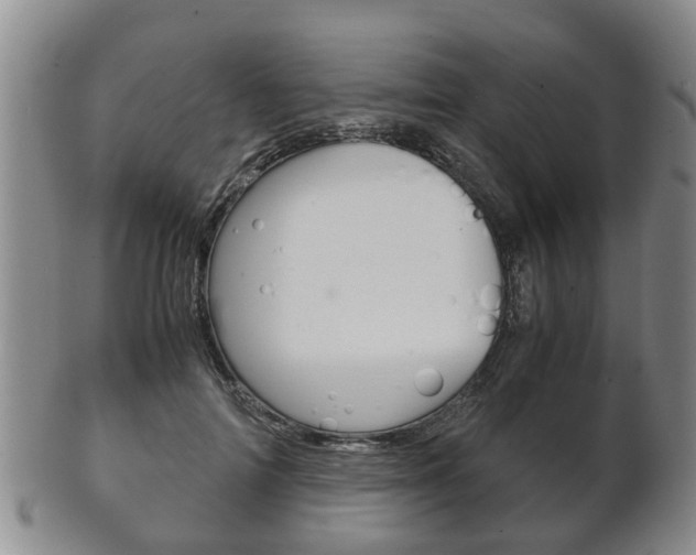 X0000102510698200808081007