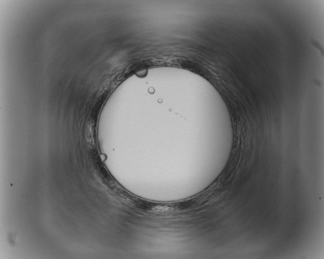 X0000102510699200808081007