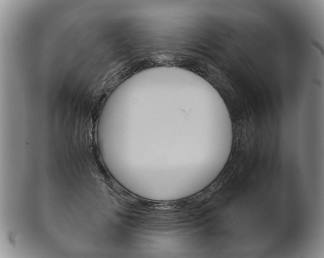 X0000102510702200808081007