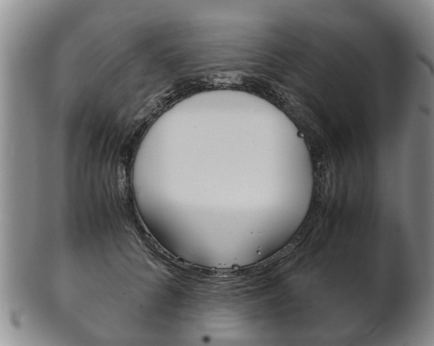 X0000102510704200808081007