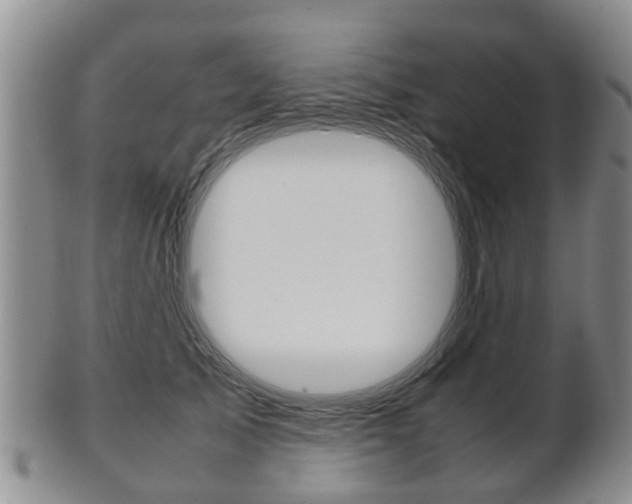 X0000102510705200808081007