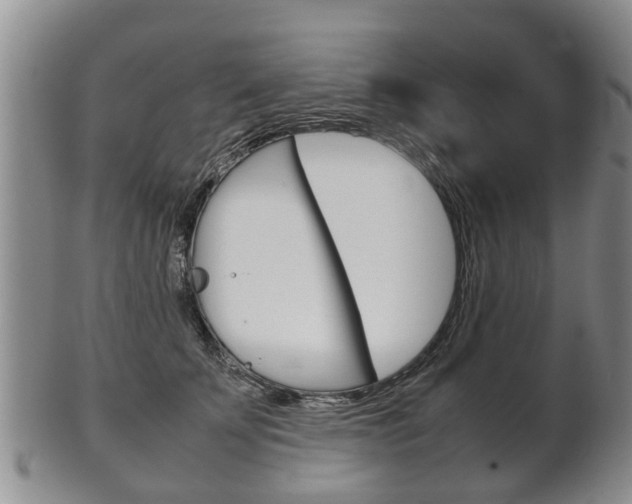 X0000102510707200808081007