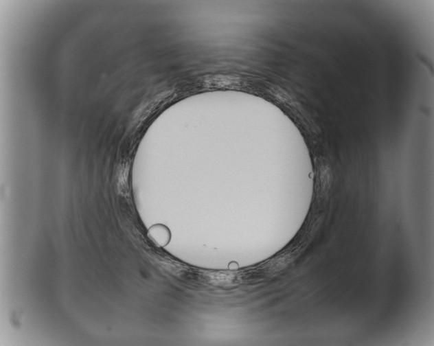 X0000102510709200808081007