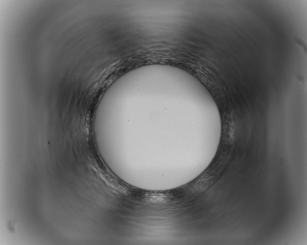 X0000102510710200808081007