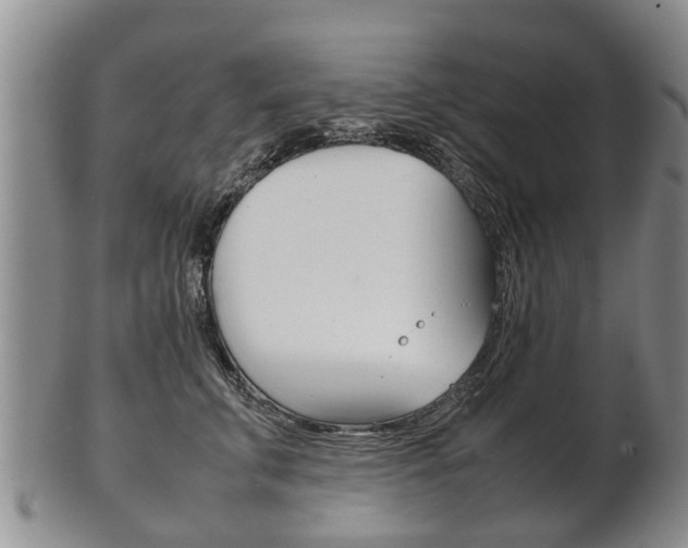 X0000102510711200808081007
